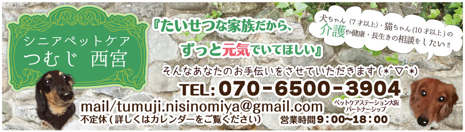 シニアペットケアつむじ西宮~兵庫県西宮・芦屋での犬・猫の訪問介護・ペットシッター