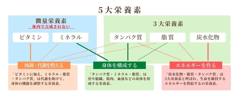 5大栄養素とミネラルの役割