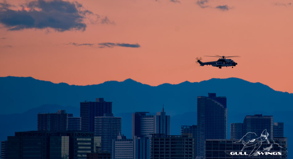 A Coast Guard Super Puma is landing after a mission with a beautiful suburban sunset backdrop. (Haneda, Tokyo 09-12-2018)