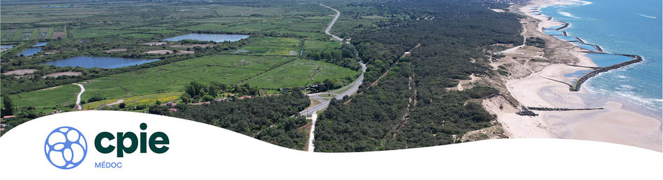 Site de curuma-cpiemedoc !