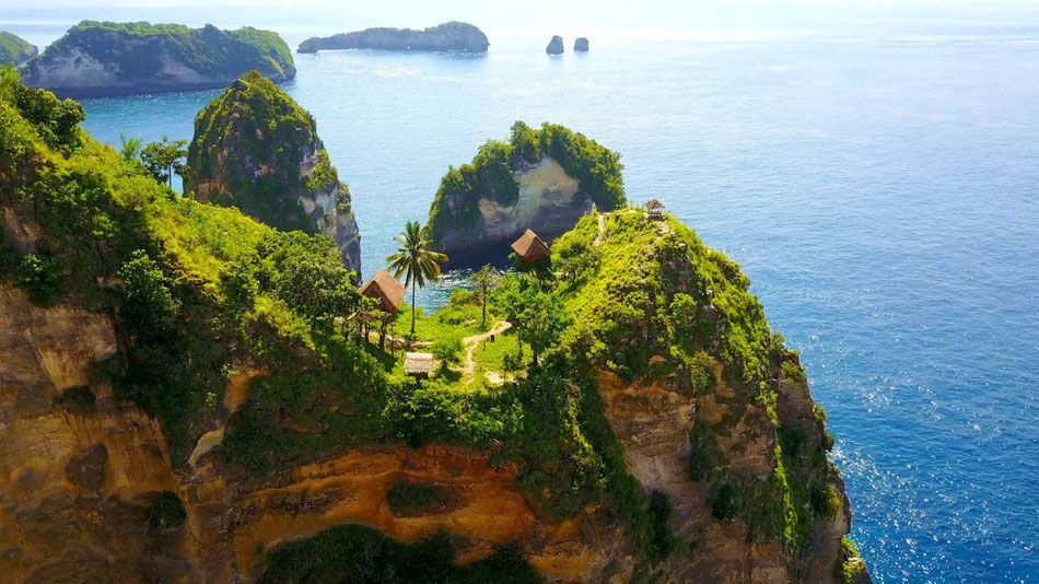 Nusa Penida Jungle tree, rumah pohon with pulau seribu rajah lima view