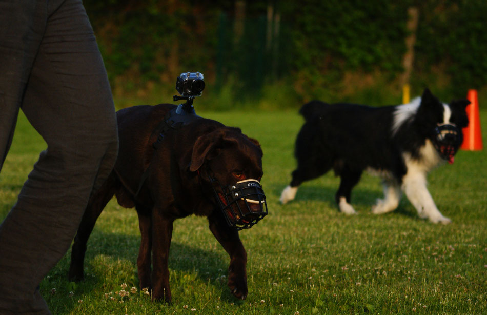 Toni und Barny. Foto: Nina Dany