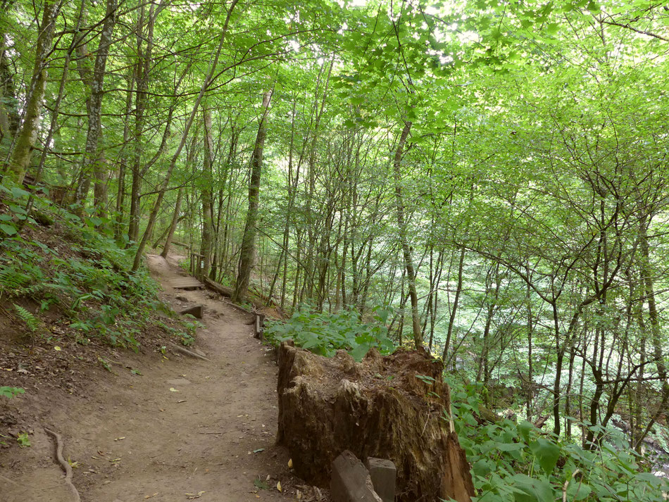 mit Leni und Toni wandern in der Holzbachschlucht 