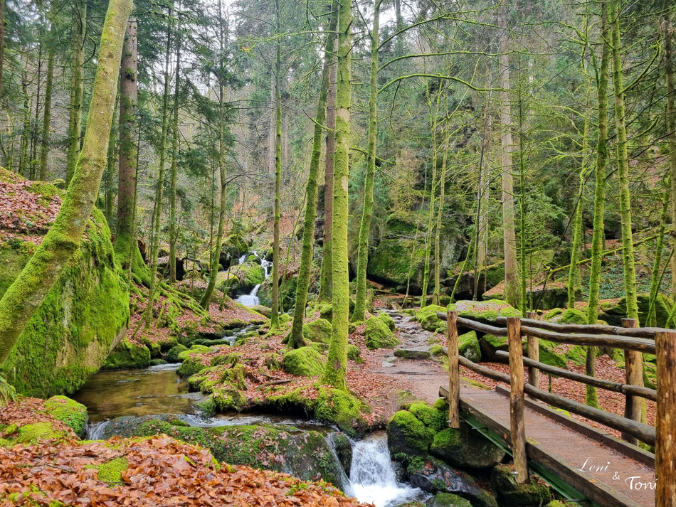Hier kann man richtig schön wandern