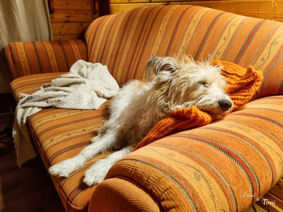 Nach den ganzen Strapazen des Tages muss Clara sich erstmal wieder erholen