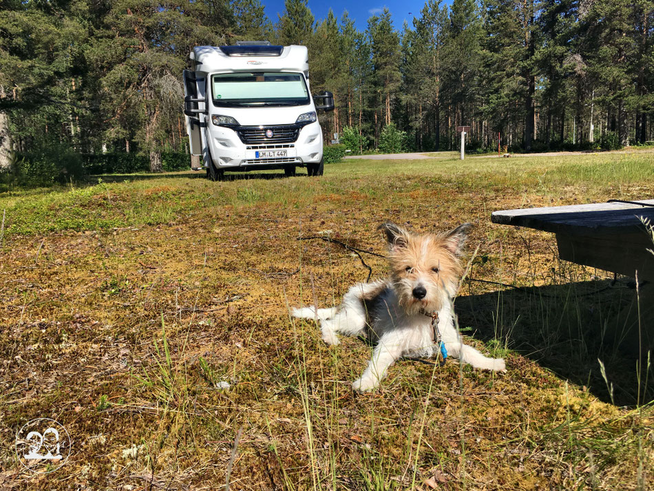 Norwegen mit dem Wohnmobil ♥ Unsere Route bis zum Nordkapp Leni und Toni