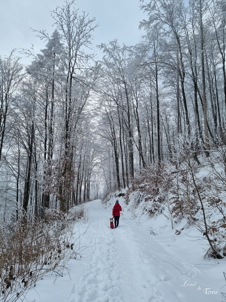 Wir sind mitten im Winterwunderland angekommen