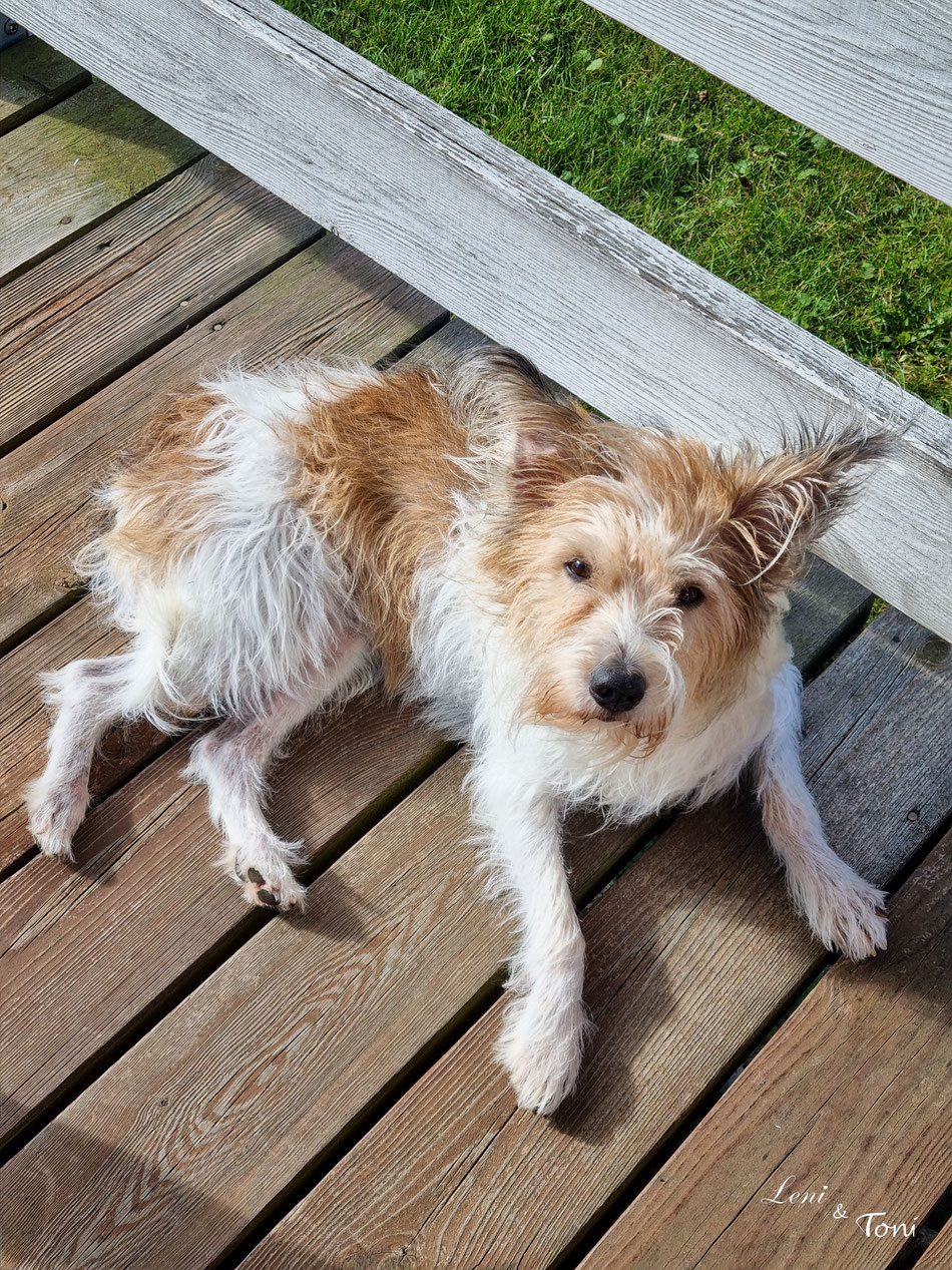 Clara genießt das schöne Wetter heute auf der Terrasse