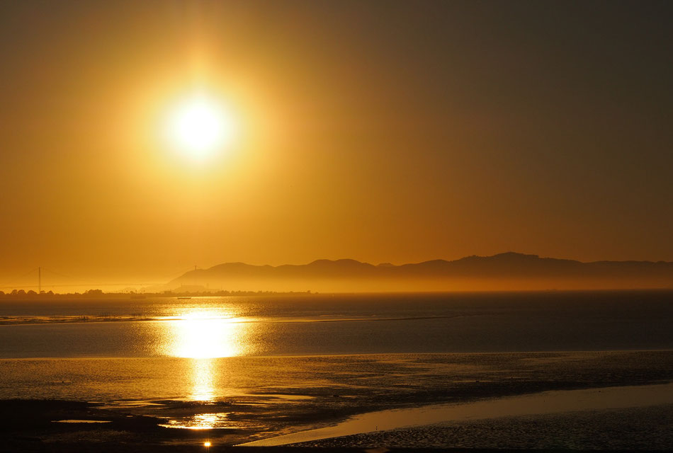 Golden Gate