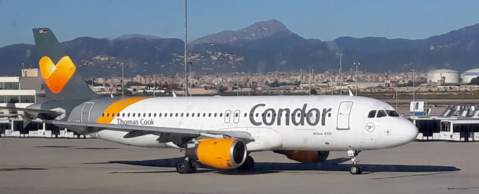 beliebt sind Türkei Flüge mit Condor nonstop Antalya - hier auch Türkei Reisen last minute - bitte Airline und Flugzeiten prüfen oder Reiselotsen cruise & tours fragen ....