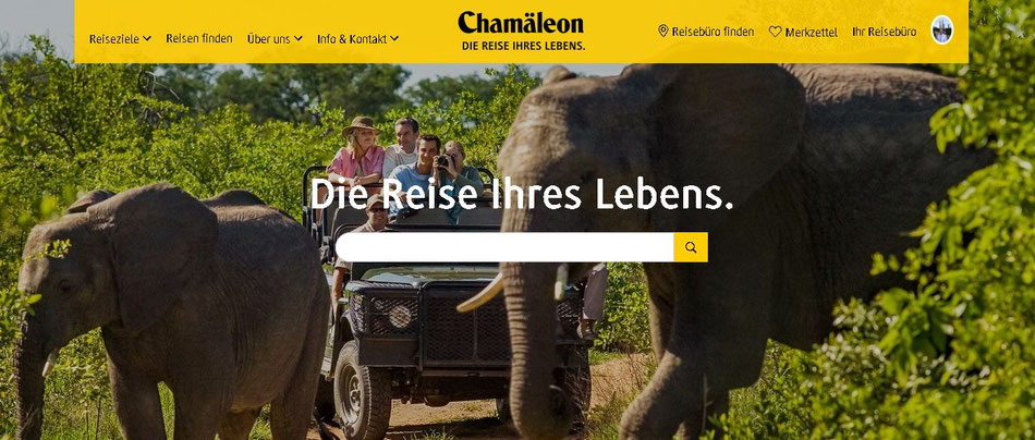 Chamäleon Rundreise Tansania Safari und Baden Sansibar mit Flug 2025-2026 | Buche Sie mit kompetenter Beratung beim Reisebüro Reiselotsen Ihre Chamäleon Reise.