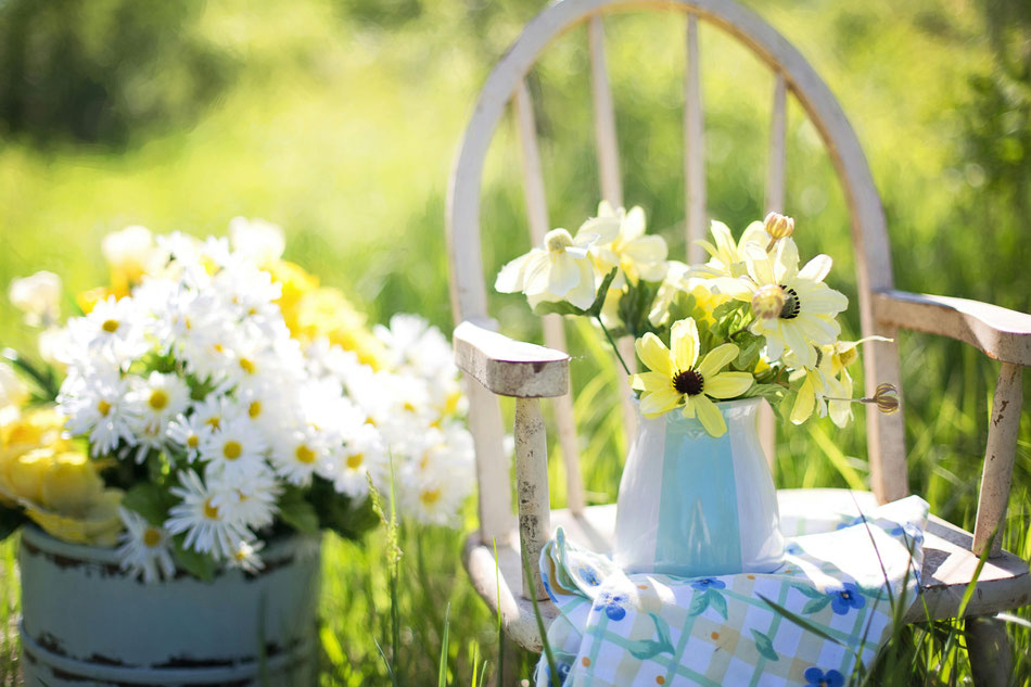 Les inscriptions sont ouvertes jusqu'à la fin du printemps./Crédit photo Pexels.