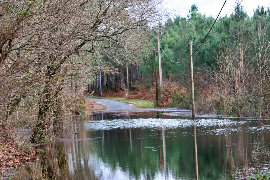 La route de Maison-Rouge à Belin-Béliet est désormais sous les eaux./Photo Le Belinétois. 