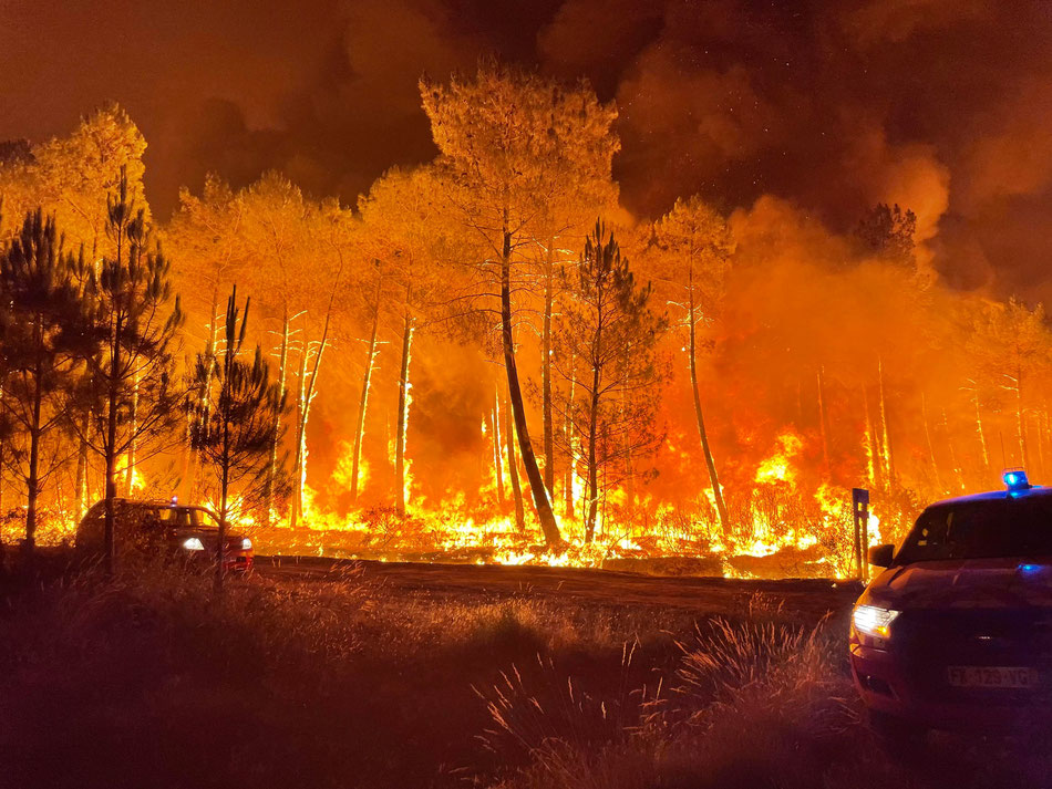 Lorsque le feu arrivait dans le quartier de Joué, le mardi 9 août, à Belin-Béliet./Crédit photo LB-FJ