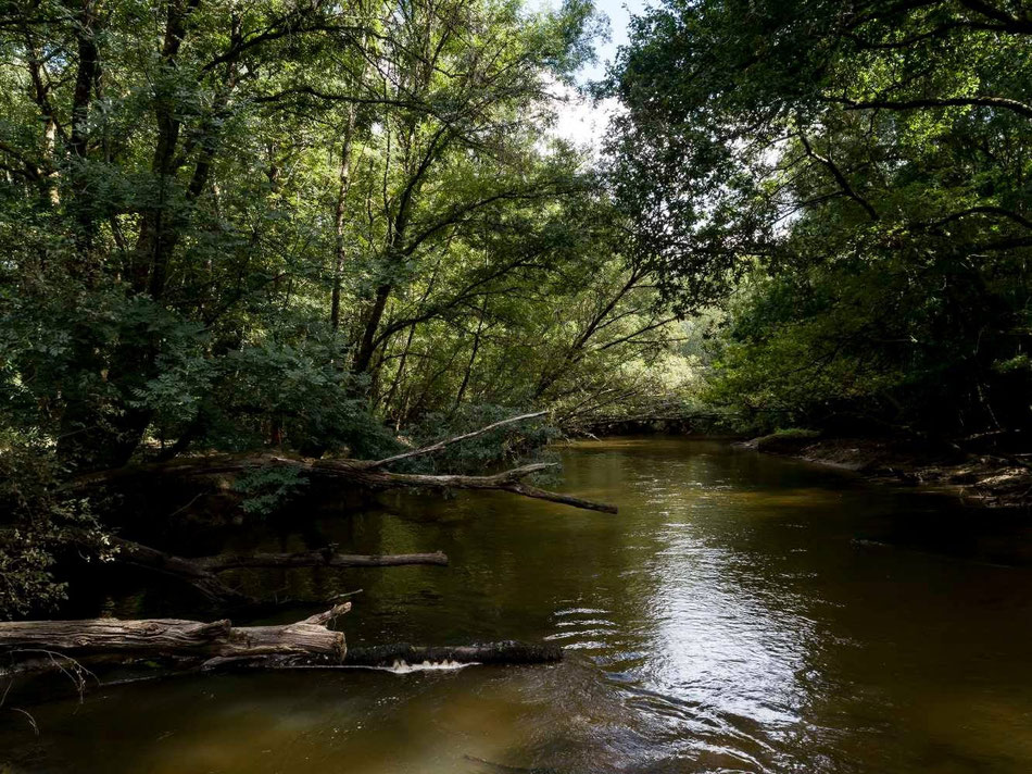 Une balade naturaliste est prévue sur les bords de l'Eyre.