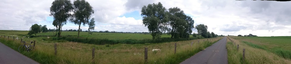 Dramatische Landschaften, friedliche Schafe.