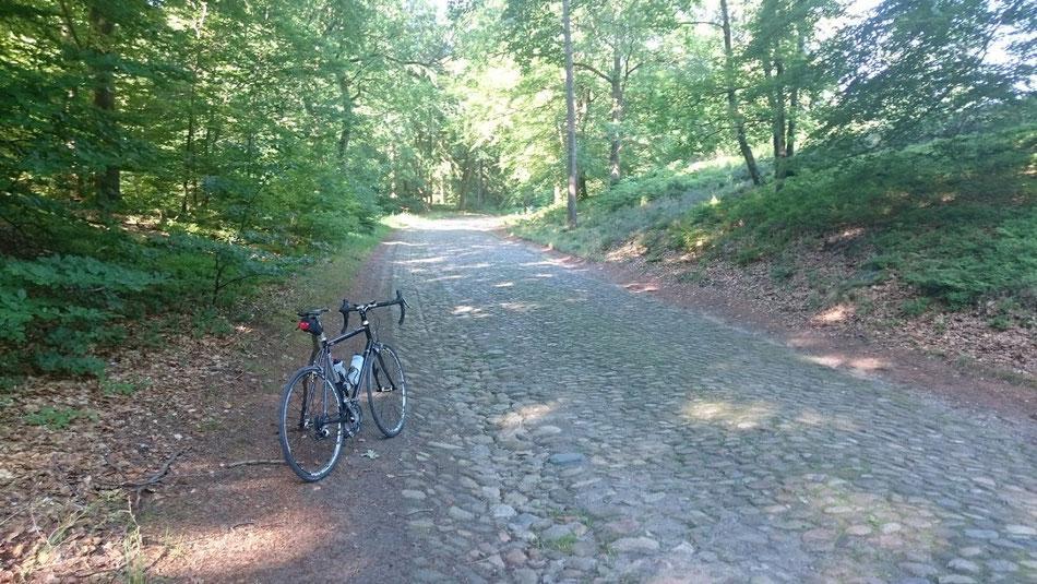Ausgeschilderte Radstrecke nach Undeloh - nicht empfehlenswert.