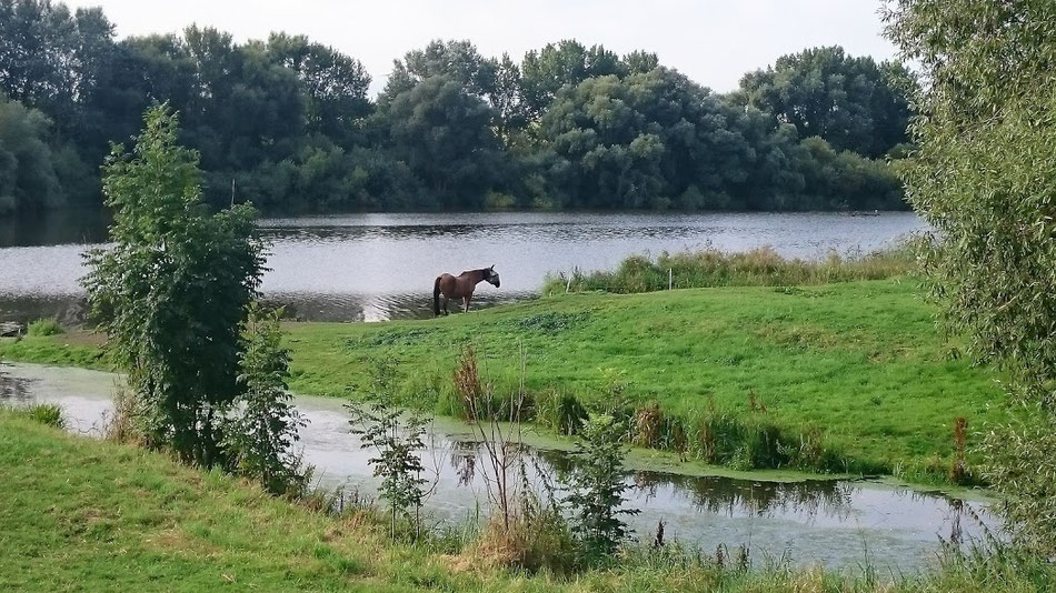 Kitschige Motive an der alten Süderelbe