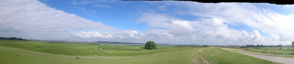 Viel Landschaft an der Pinnau.