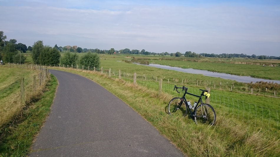 Rennrad, Norwid, Haseldorfer Marsch