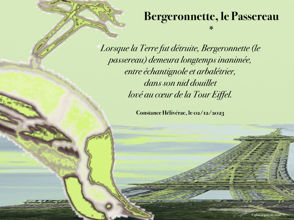 Chapitr10--4-1-1-Bergeronnette-Passereau