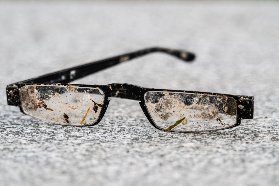 Thomas Keßler - Zufallsfund in den Rieselfeldern