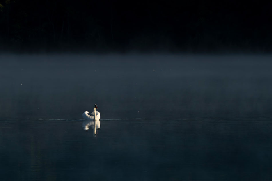 Christiane Alt-Epping