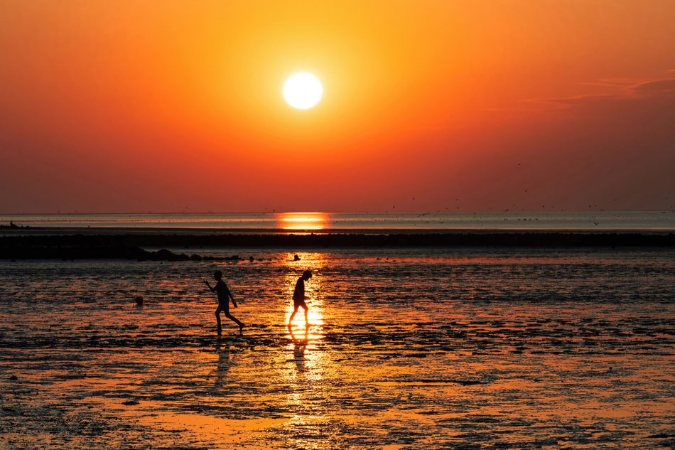 Thomas Keßler - Abendstimmung in Werdum