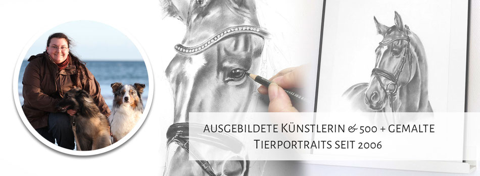 Pferdeportrait nach Fotovorlage Bleistiftzeichnung