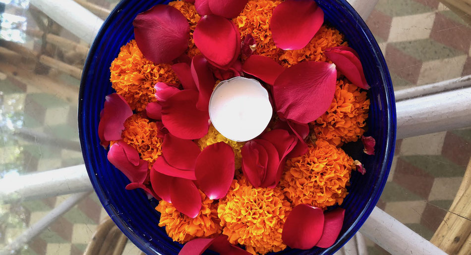 Rote und orange farbige Blumenblätter für das Chakra 