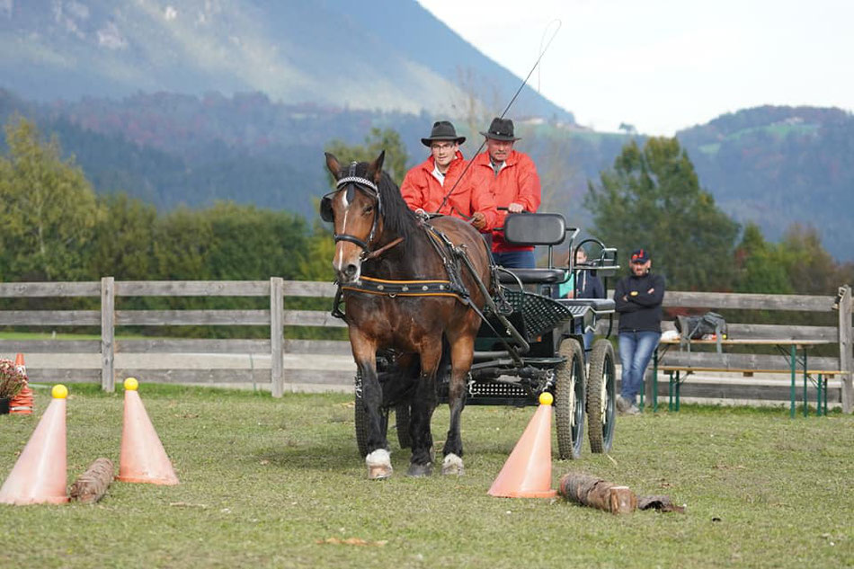 Foto: Hans Titze, Pferdeherbst Mils 2019, Kegelparcours - Johannes und Oswald Tiefenthaler mit Stute Odina