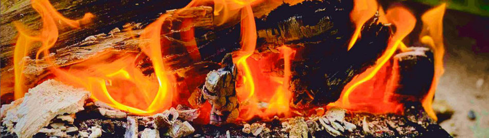 Flammlachs
