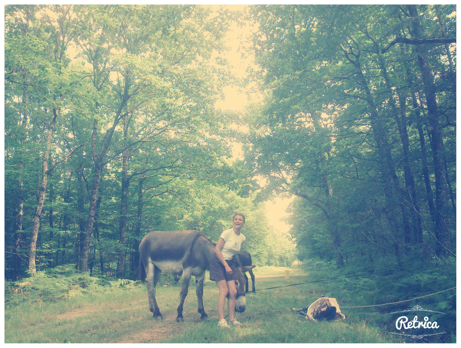 voyage, aventure personne, en marche, sur le chemin, famille