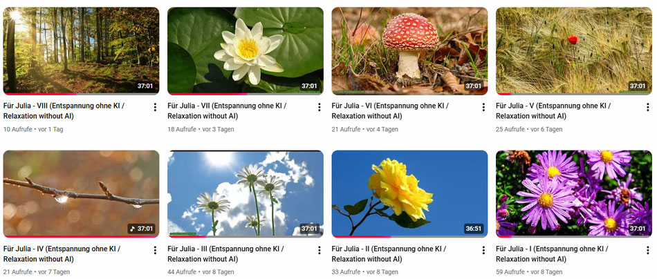 Genießen und Runterkommen gibt es seit Februar 2026 auch in langsamer Bewegung: Meditative Bilderschauen aus meinen Naturaufnahmen, unterlegt mit beruhigender Musik oder nur Vogelstimmen, garantiert frei von unnatürlichem KI-Kitsch.