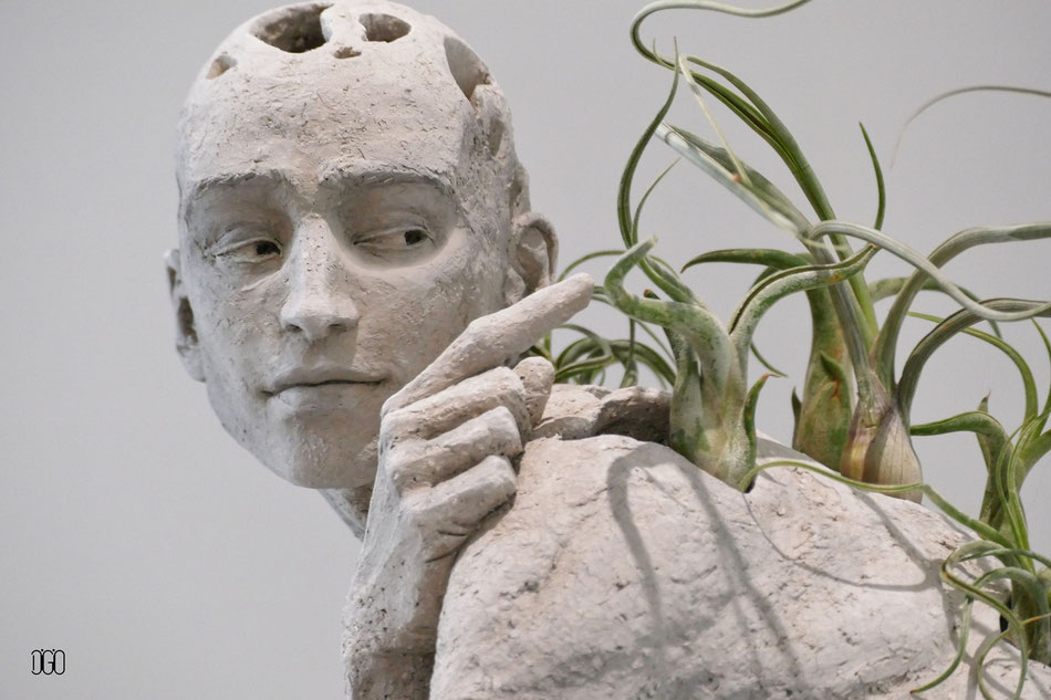 Elena Di Giovanni sculpteur ceramique art vegetaux eruption interieure grès 