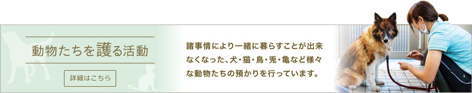 動物たちを護る活動