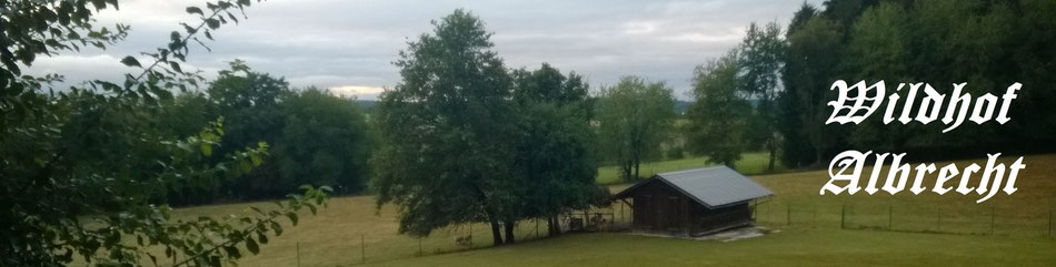Wildhof Albrecht Oberschönenfeld
