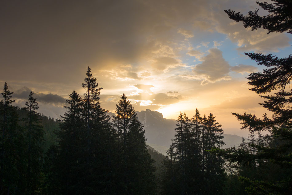 Sonnenaufgang Vorder Höhi