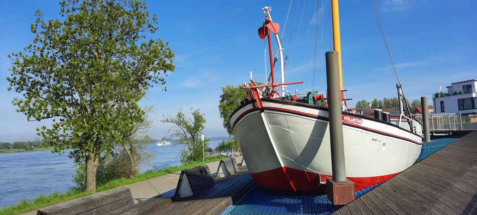 Im Bild der Baumberger Aalschokker Voluntas, heute ein Museumsschiff, welches uns vom Erwerbsleben der Aalfänger auf dem Rhein erzählt