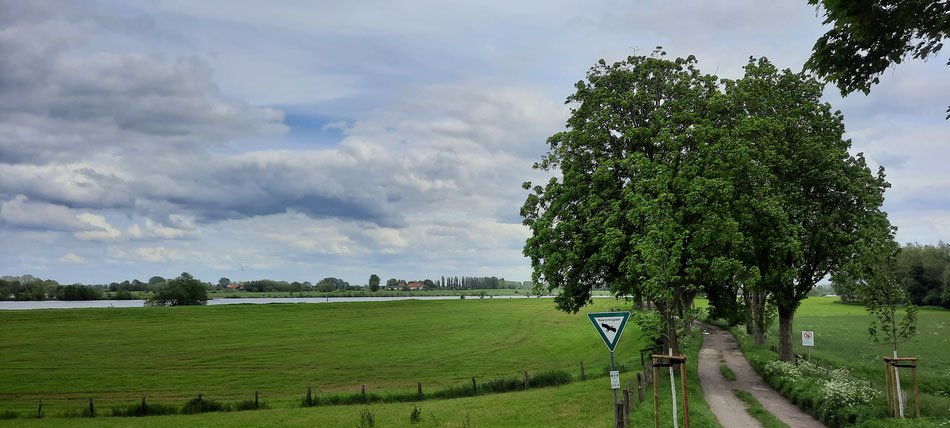 Blick von der Rheinpromenade bei Grieth