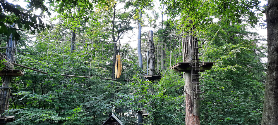 Wir klettern durch den Dschungel von Langenberg - ein echtes Waldabenteuer