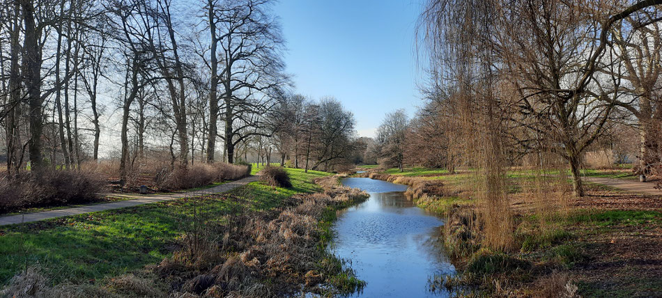 Januar-Spaziergang im Greiffenhorstpark Krefeld Linn