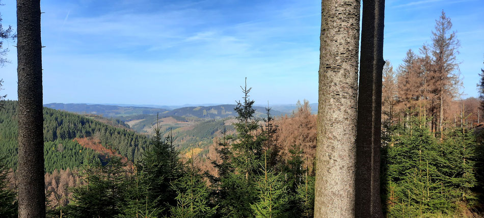 Aussichten zum Träumen vom Rothaarkammweg, dort wo Wisent-Wildnis-Pfad und Rothaarsteig zusammen verlaufen