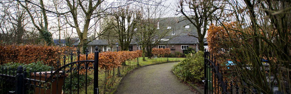 Allekante Breda