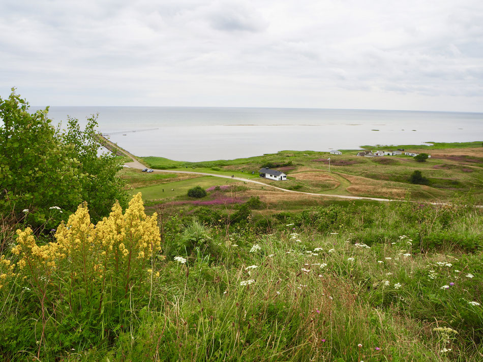 Blick auf die Ostsee