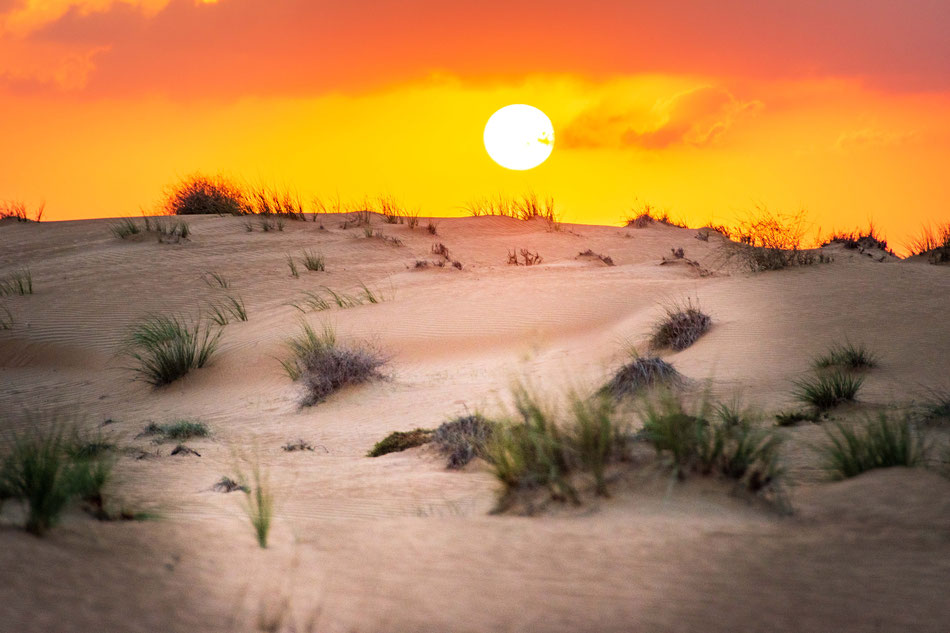 Der Sonnenuntergang in der Wüste, ein ganz besonderer Moment
