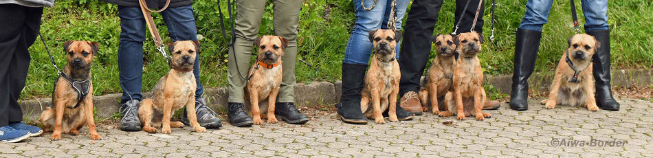 von links nach rechts: Ascan, Aurin, Kalle (Aiven), Paulchen (Ares), Mama Wanja, Aria, Augi (Aiden)