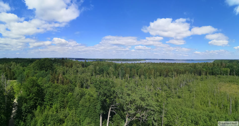 am Mauerwald der Blick vom Aussichtsturm