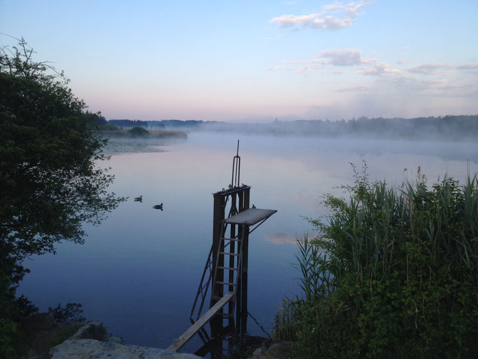 Morgenstimmung am Maisinger See.