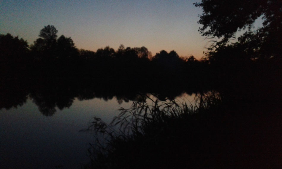 Abends an der Warnow